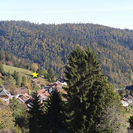Apartments Amalia - mit WLAN und Sky in bester Lage Todtmoos Exterior foto