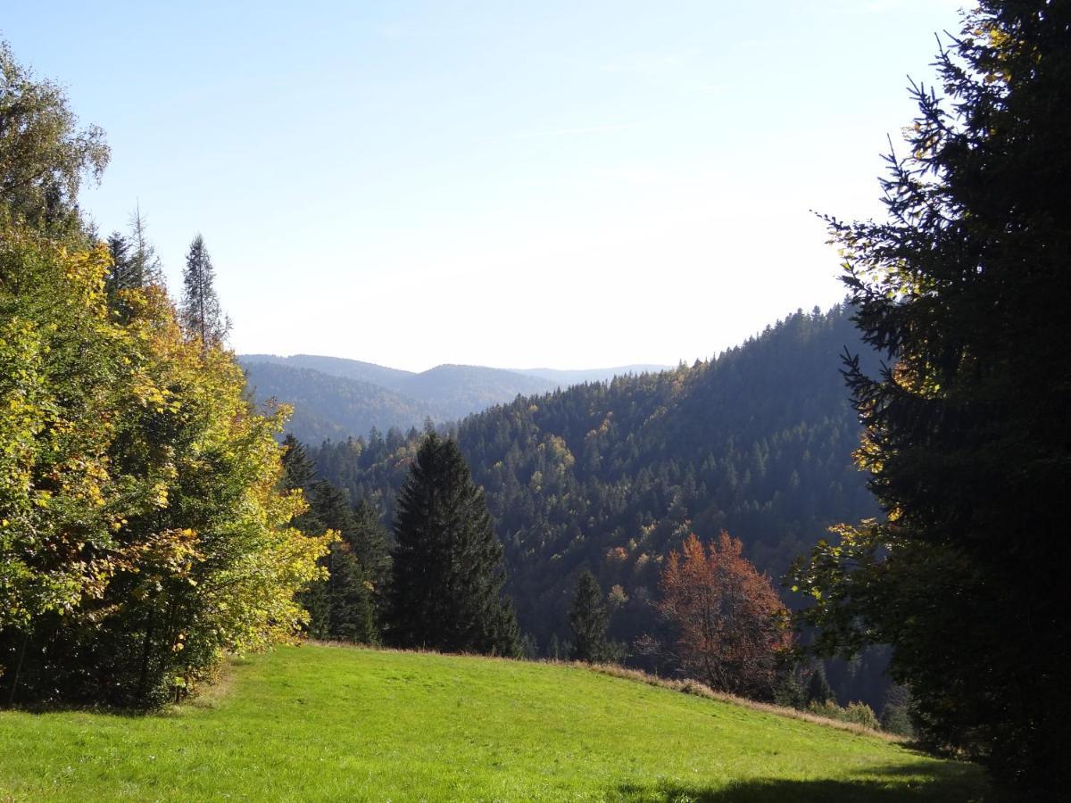 Apartments Amalia - mit WLAN und Sky in bester Lage Todtmoos Exterior foto