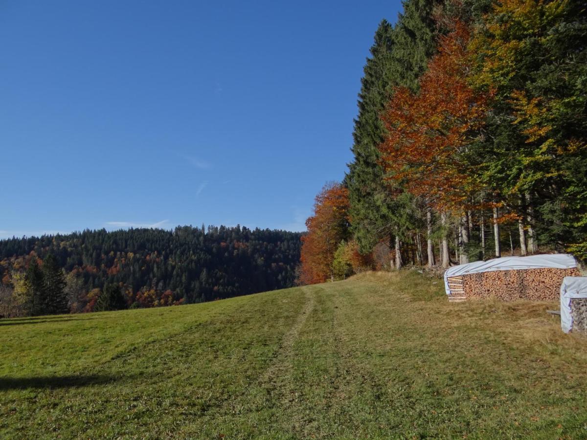 Apartments Amalia - mit WLAN und Sky in bester Lage Todtmoos Exterior foto