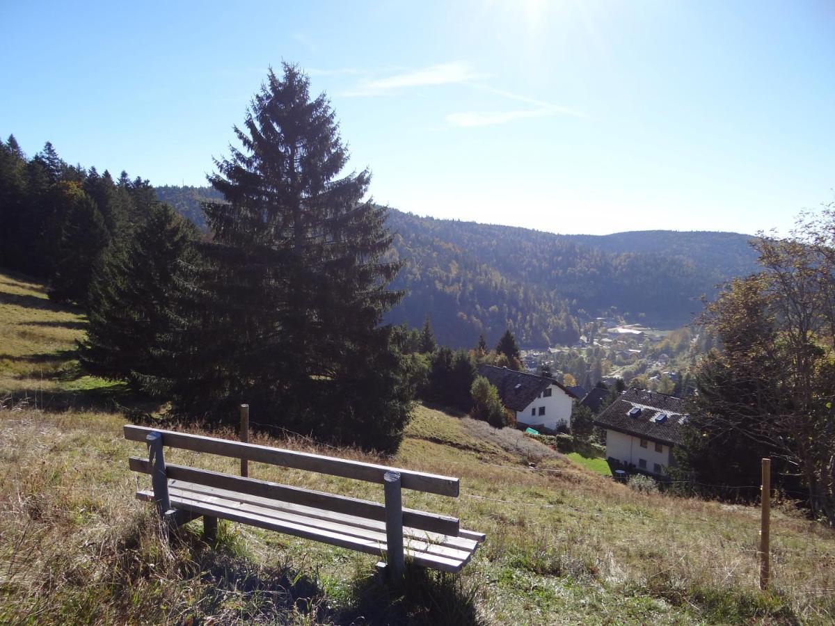 Apartments Amalia - mit WLAN und Sky in bester Lage Todtmoos Exterior foto